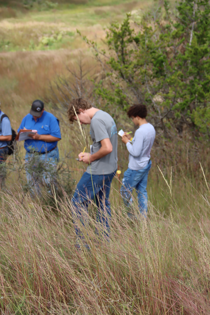 Cooper Range Judging